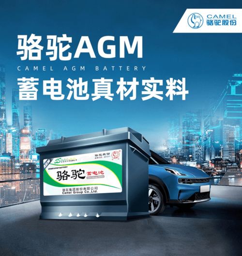 駱駝蓄電池 助力高考，絕不虧電，一路狂奔向未來